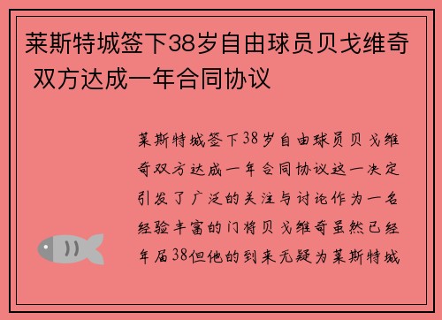 莱斯特城签下38岁自由球员贝戈维奇 双方达成一年合同协议