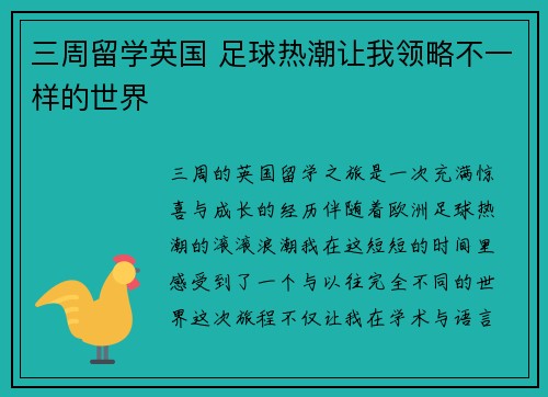 三周留学英国 足球热潮让我领略不一样的世界
